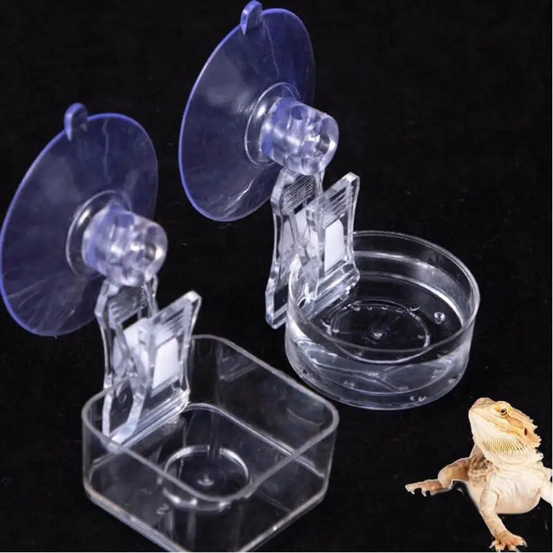 Reptile Water Food Bowl Suction Cup Food Tray Gecko Reptile Lizards Spider Tree Frogs Feeder Habitat Decoration Pet Supplies