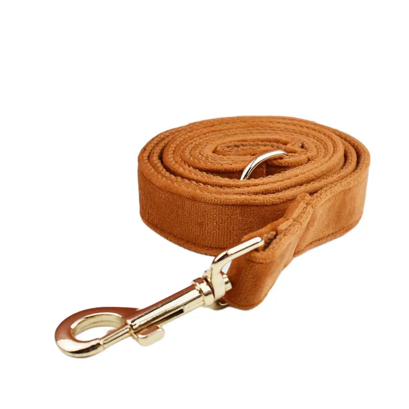 Ancient Pottery Velvet Dog Collar And Leash Set For Dogs Custom Engraved Nameplate Pet Supplies Dog Leash Velvet 21