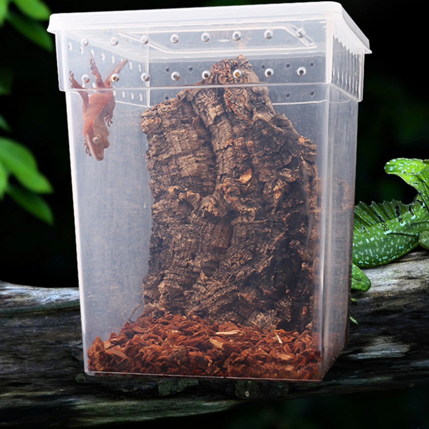 Pets Reptile Feeding Box Tarantula Enclosure Turtle Tank Aquarium Lizard Container Animals Habitat Cage For Frog Spider Gecko