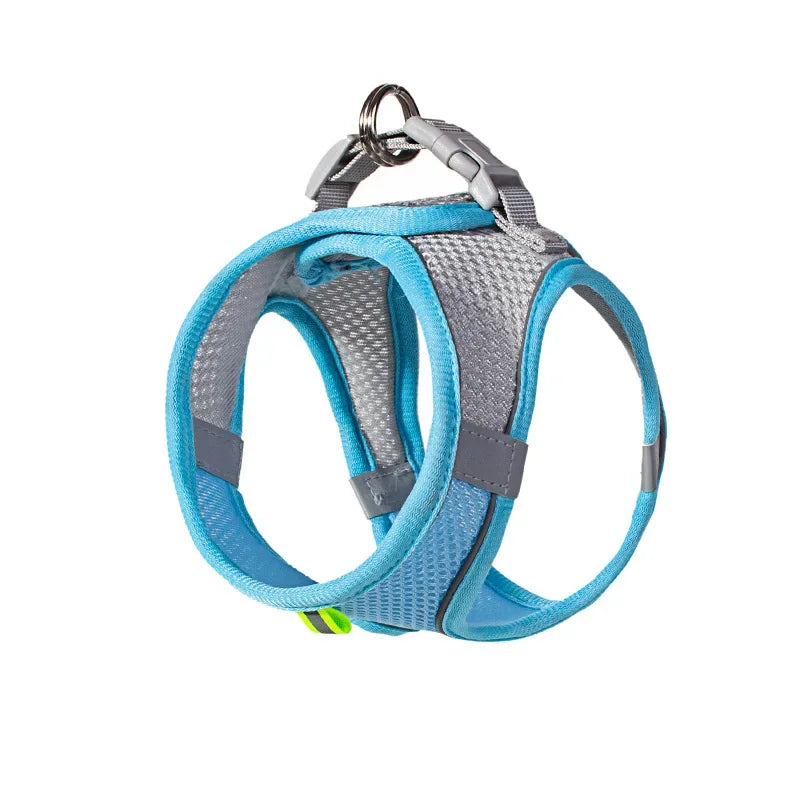 Small Dog/Cat Harness