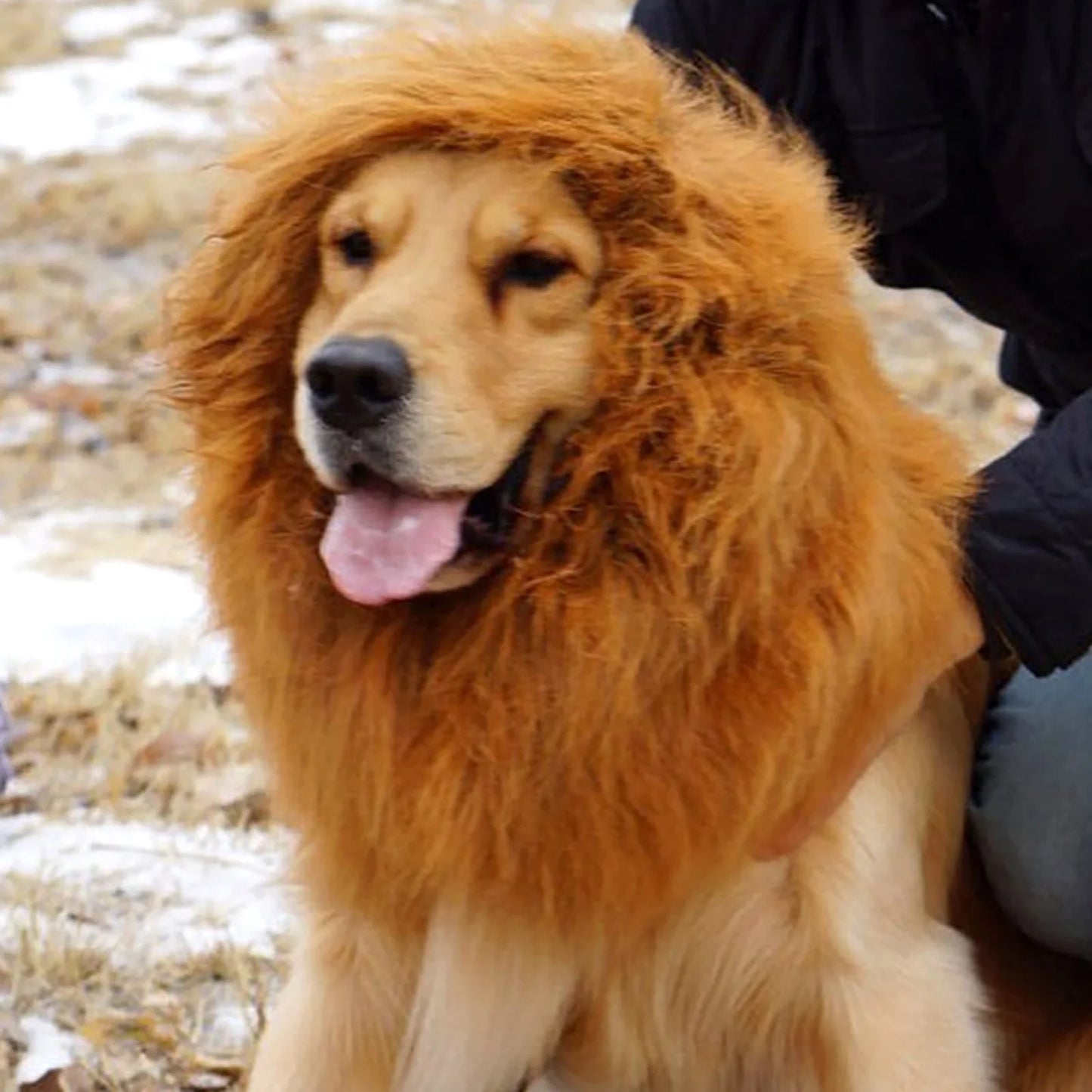 Cute Pet Dog Cosplay Clothes Lion Mane For Dog Costumes Realistic Lion Wig For Medium to Large Dogs With Ear Pet Accessories