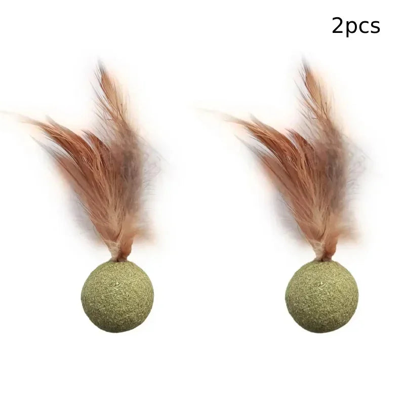 Title (SEO, ≤40 chars): Edible Catnip Ball Toy Mint Infused Cats