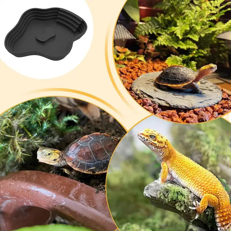 Reptile Water Dish Turtle Bathing Basin Frog Bathing Basin Can Be Used As Food Bowl And Water Basin For Reptiles & amphibians