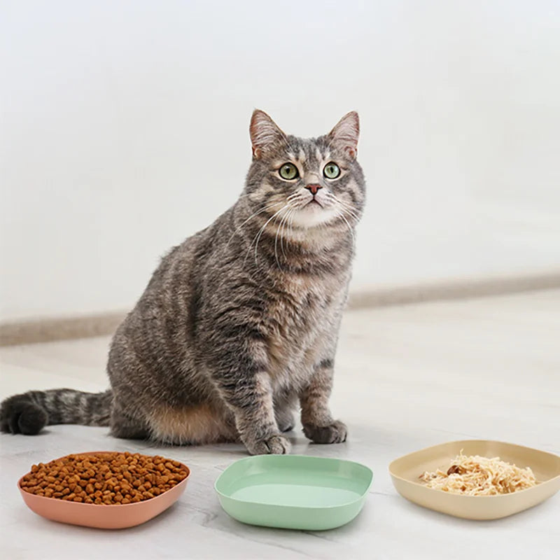 3/10/20pcs Non-Slip Plastic Cat Bowls Set Shallow Pet Food & Water Dishes Suitable for Kittens Short Leg Cat Ferrets Stray Cats