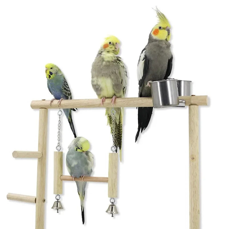 Parrot Playstand For Indoor Use