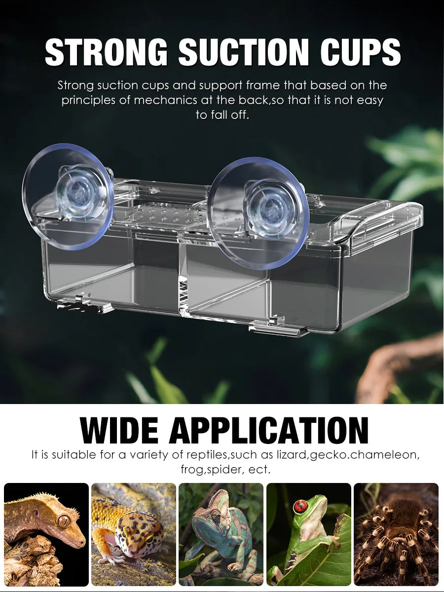 Reptile Ceramic Bowl - Anti-Escape Design