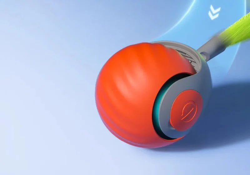 Cats Interactive Ball Toys