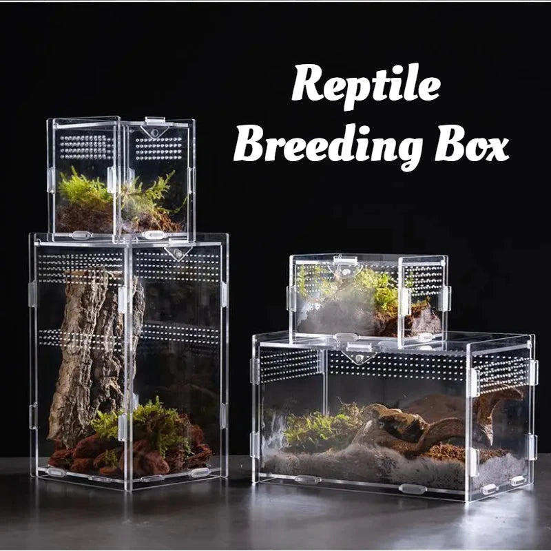 Reptile Terrarium Habitat Breeding Box Acrylic Transparent Reptiles Cage Nano Arboreal Tarantula Enclosure Dearded Dragon 파충류