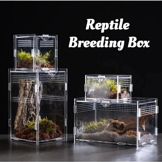 Reptile Terrarium Habitat Breeding Box Acrylic Transparent Reptiles Cage Nano Arboreal Tarantula Enclosure Dearded Dragon 파충류