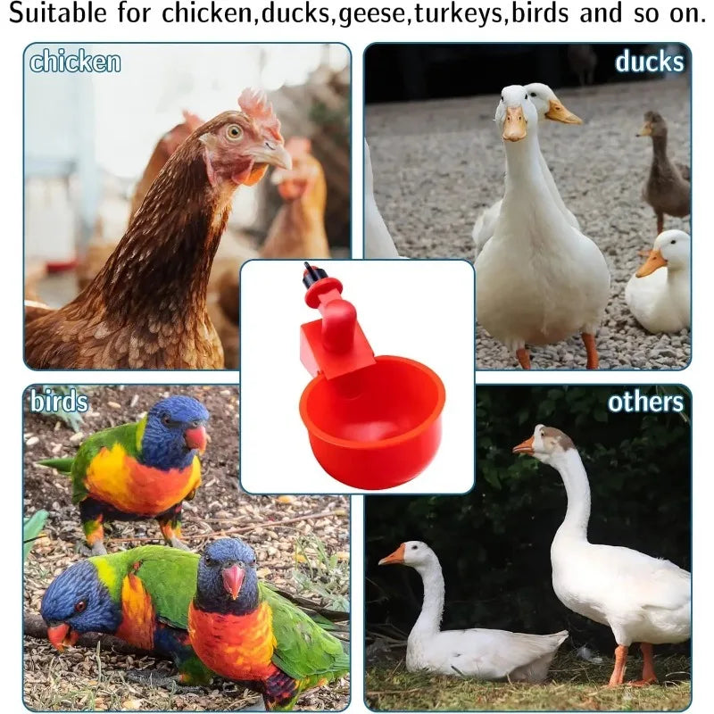 10/20 Pcs Chicken Drinking Bowl Poultry Automatic Water Dispenser Pigeon Small Chick Feeding Bowl Chicken Coop Water Dispenser