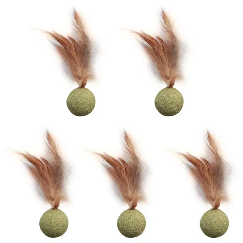 Title (SEO, ≤40 chars): Edible Catnip Ball Toy Mint Infused Cats