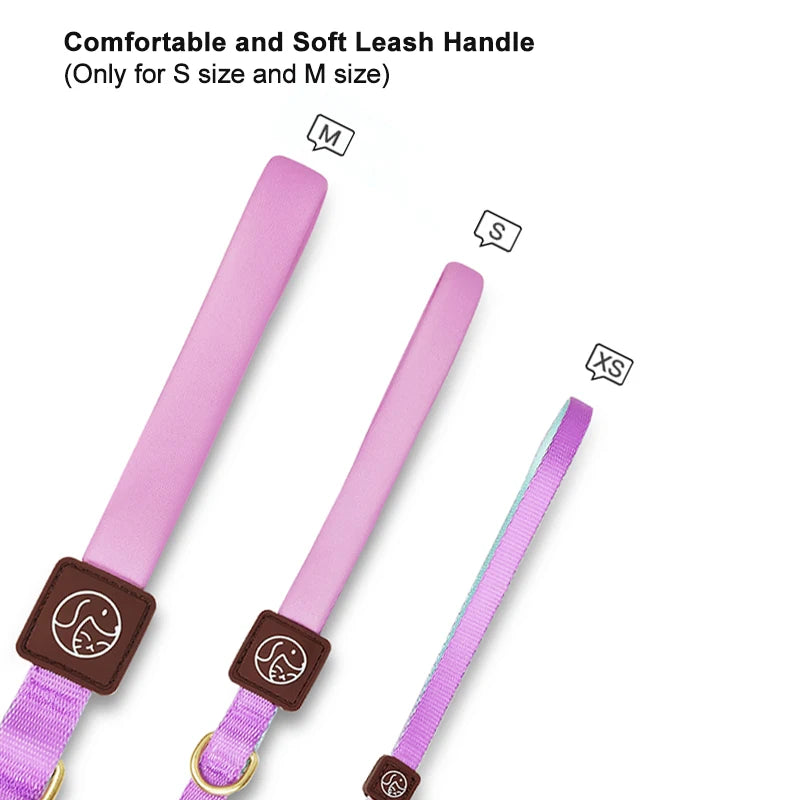 Pet Shop All Bulldog Frances Puppy Choker Collar Dog Leash Breastplates Lead Set Harness No Pull Pets Accessories for Small Dogs