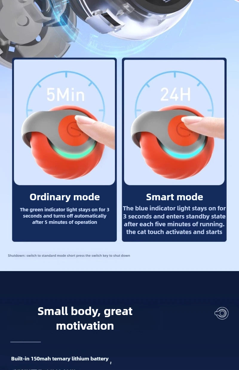 Cats Interactive Ball Toys