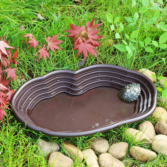 Reptile Bathing Pool with Ramp