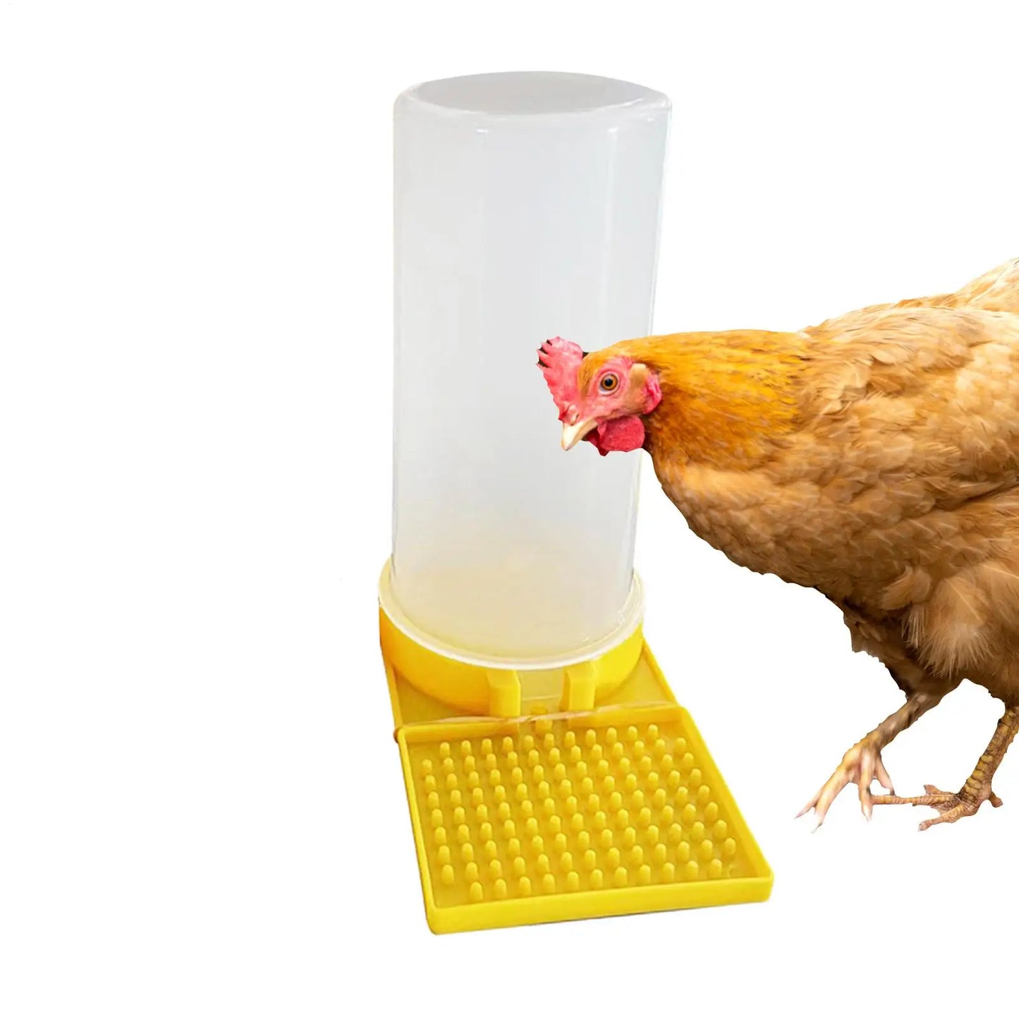 Poultry Feeder  Water Cup  Leakproof Large Capacity Clear Feeder Water Cup Feeding Container for Chicks Quail Bee Feeders