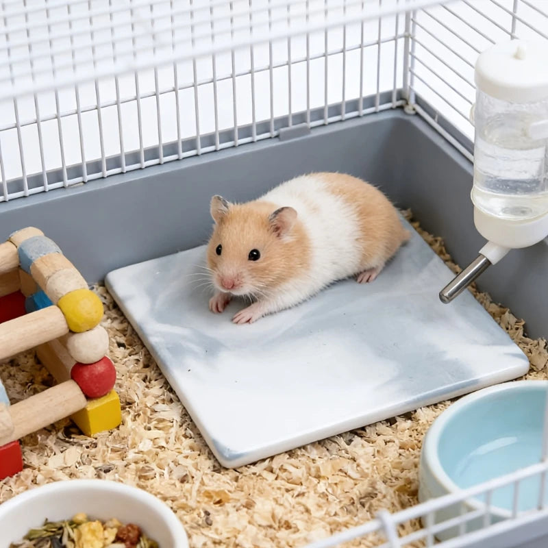 Hamster-Specific Cooling Pad Chew-Proof And Tip-Resistant Cooling Mat Cooling Pad For Hamsters Small Pet Easy To Clean