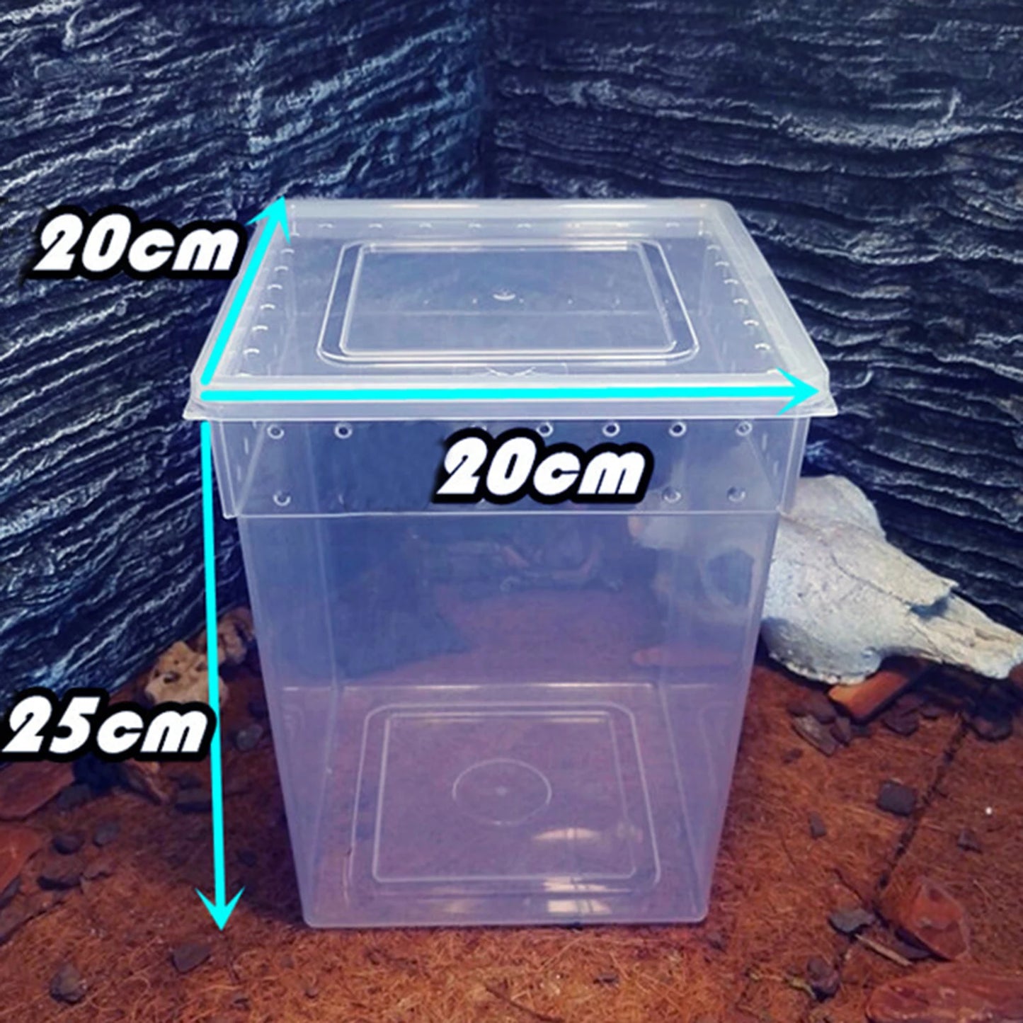 Pets Reptile Feeding Box Tarantula Enclosure Turtle Tank Aquarium Lizard Container Animals Habitat Cage For Frog Spider Gecko