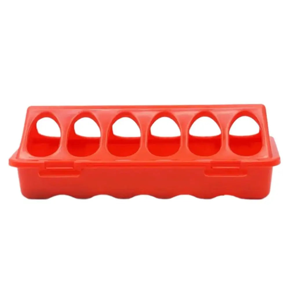 12-Hole Anti-Waste Poultry Feeder for Quail Chicks Pigeons – Durable Plastic Double-Sided Feeding Tray, Prevents Food Scattering