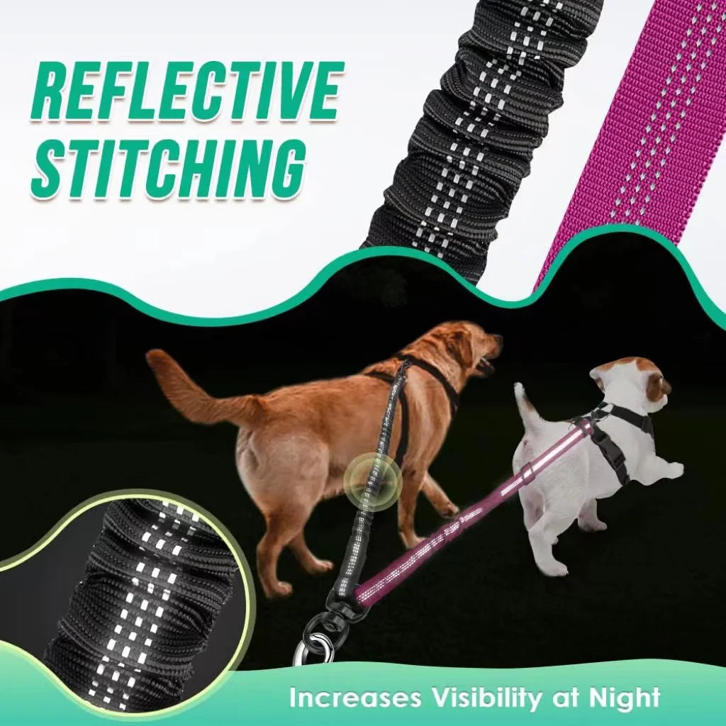Title (SEO, ≤60 chars): Dual Dog Leash Attachment Elastic Coupler For Two Dogs