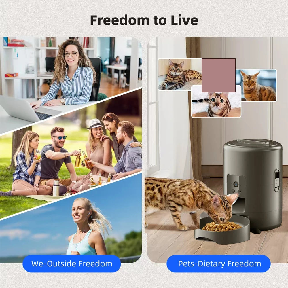 2L Button USB Automatic Animal Feeding Smart Cat Feeder Dog Slow Food Donor With Voice Timing Pet Feed Pet Deliver Feeds Chalet