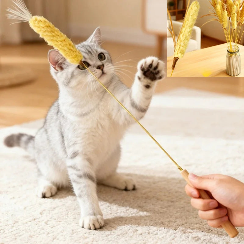 Cat Teaser Stick Toy Natural Bite Resistant Straw Bell Kitten Toy Pet Cat Teeth Cleaning Feather Teasing Stick Cat Accessories