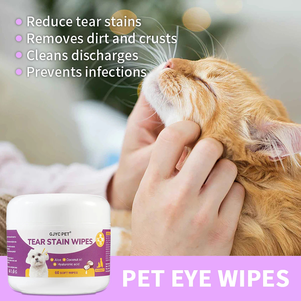 1-Pack Gentle Pet Eye Wipes - Plant Extracts No Irritation Tear Stain Remover for Cats Dogs Portable Eye Care Essentials