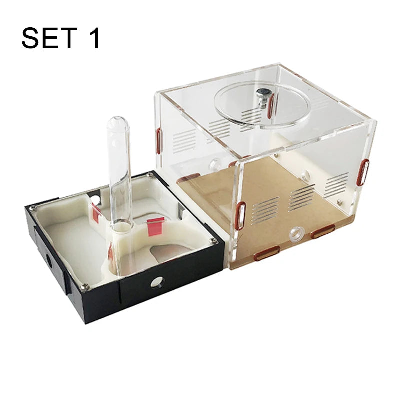 Acrylic Ant Farm Unlimited Expansion.
