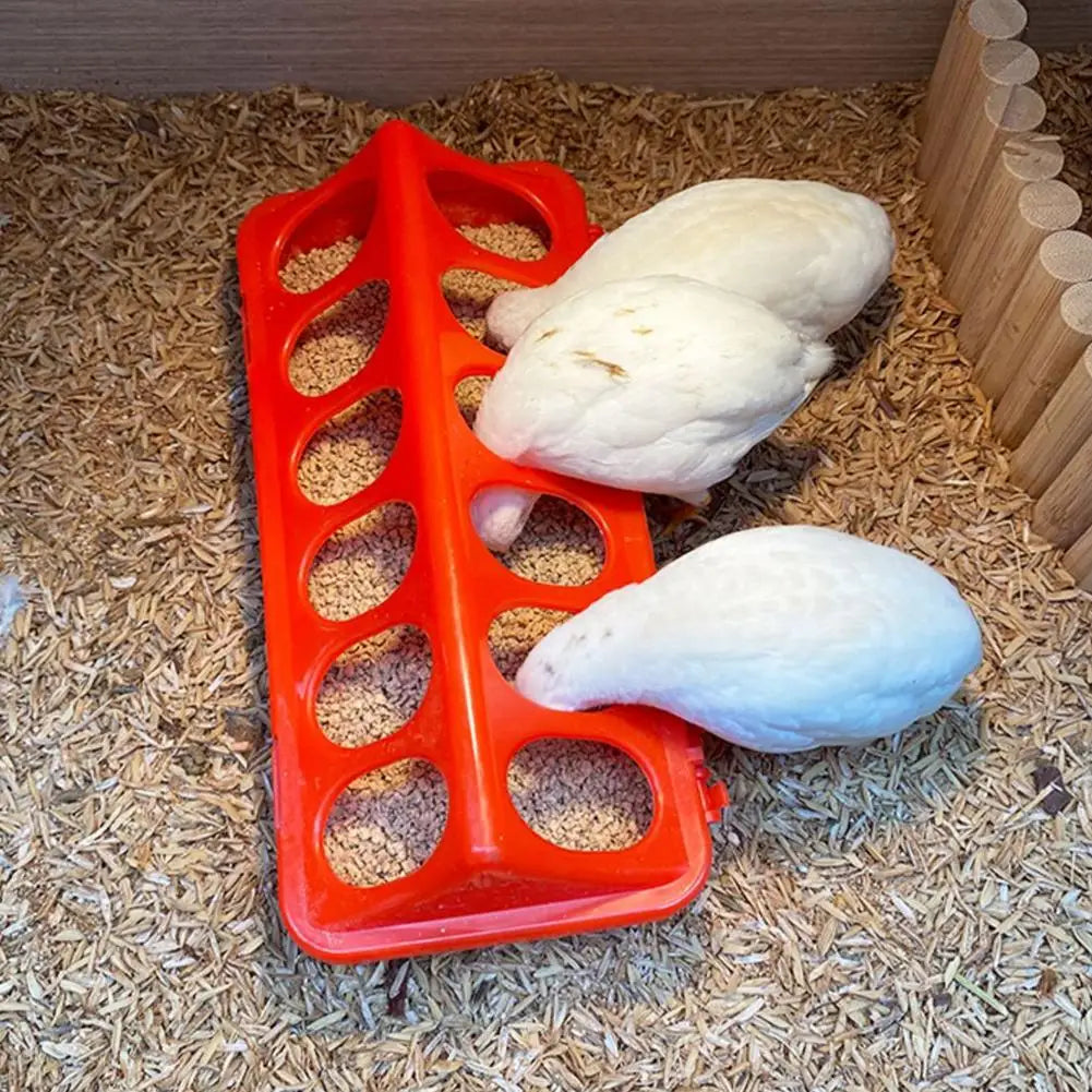 Poultry Thickened Feeder And Drinker Water Food Dispenser Chicken Birds Chick Waterer Feeding Bucket Container