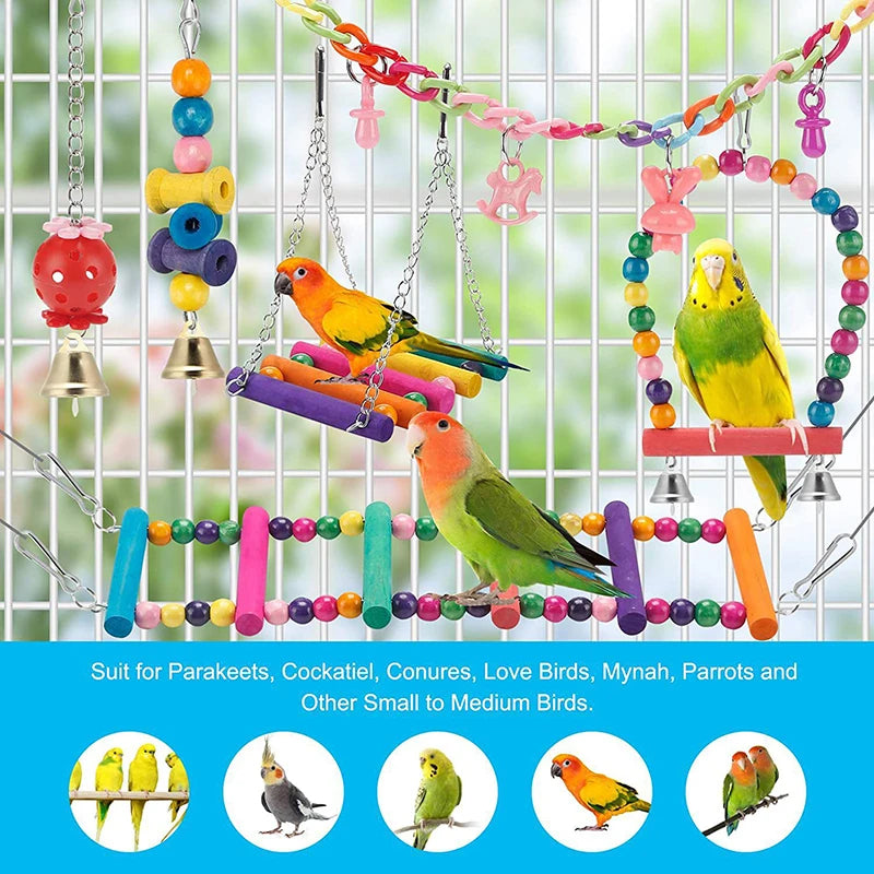 Bird Toy selection