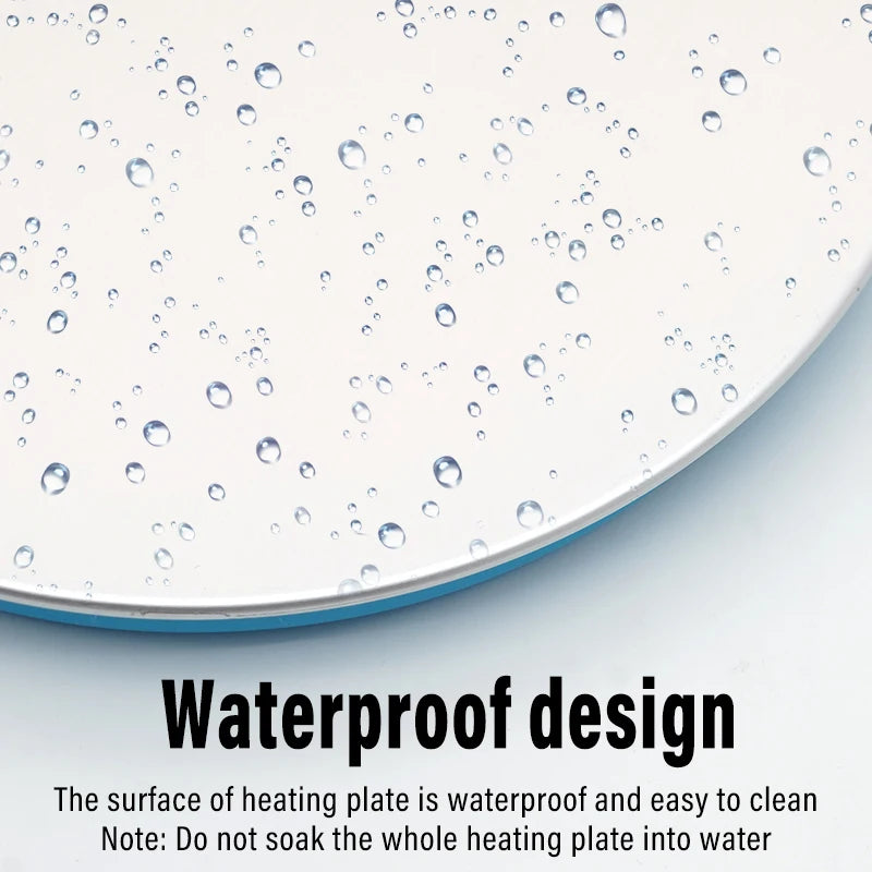 Title (SEO, ≤40 chars): Poultry Drinker Heating Plate Ice Free