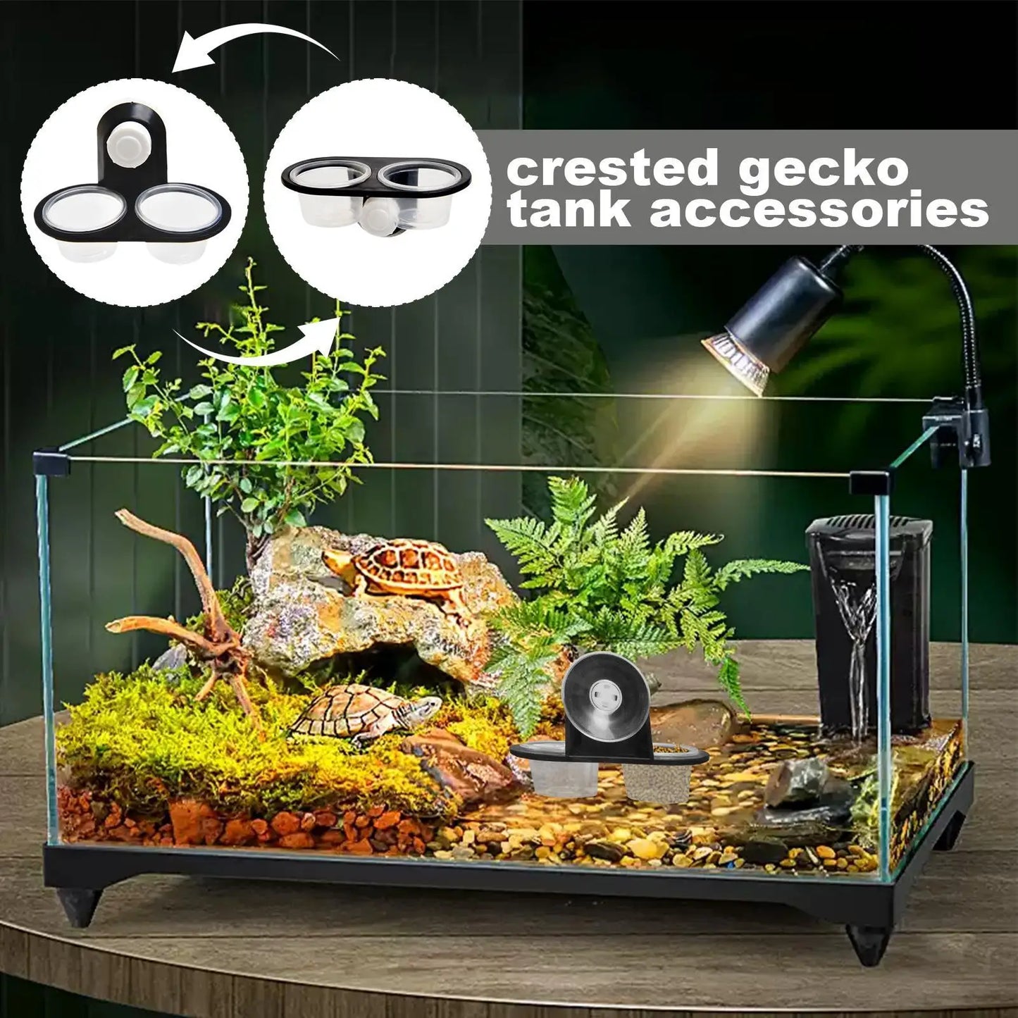 Reptile Tank Insect Spider Ants Nest Snake Gecko Food Water Feeding Bowl Terrarium Breeding Feeders Box Reptile Ideal Feeder