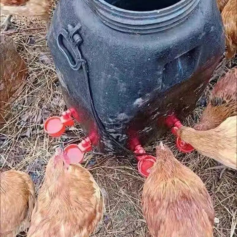 Chicken Drinking Bowl Poultry Automatic Water Dispenser Pigeon Automatic Water Dispenser Small Chick Feeding Bowl Chicken Coop