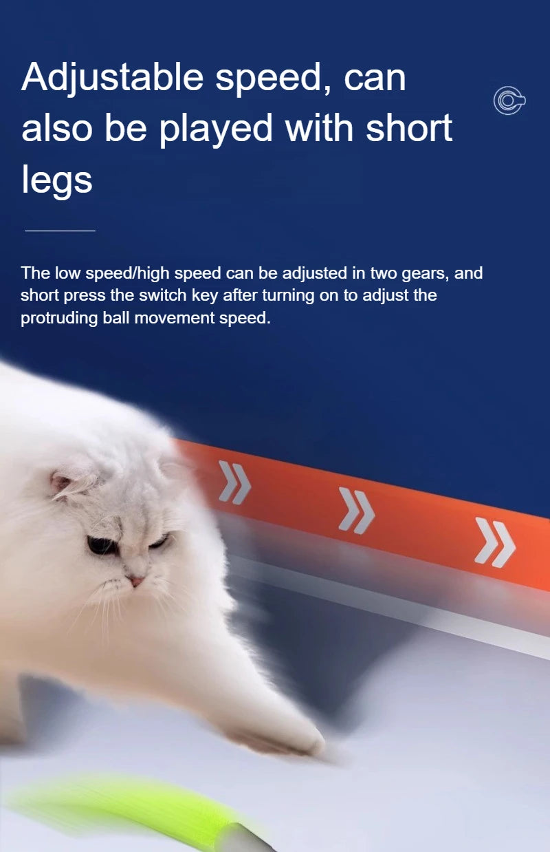 Cats Interactive Ball Toys