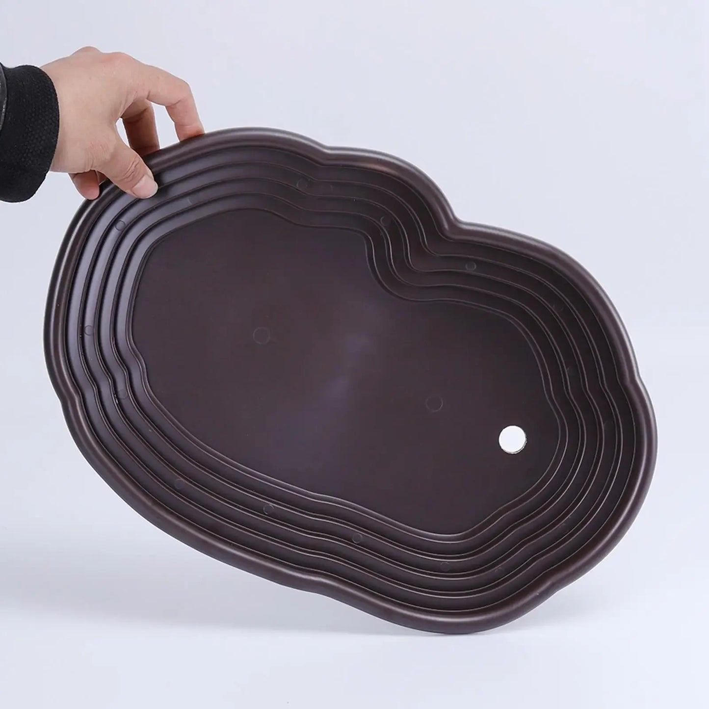 Reptile Bathing Pool with Ramp