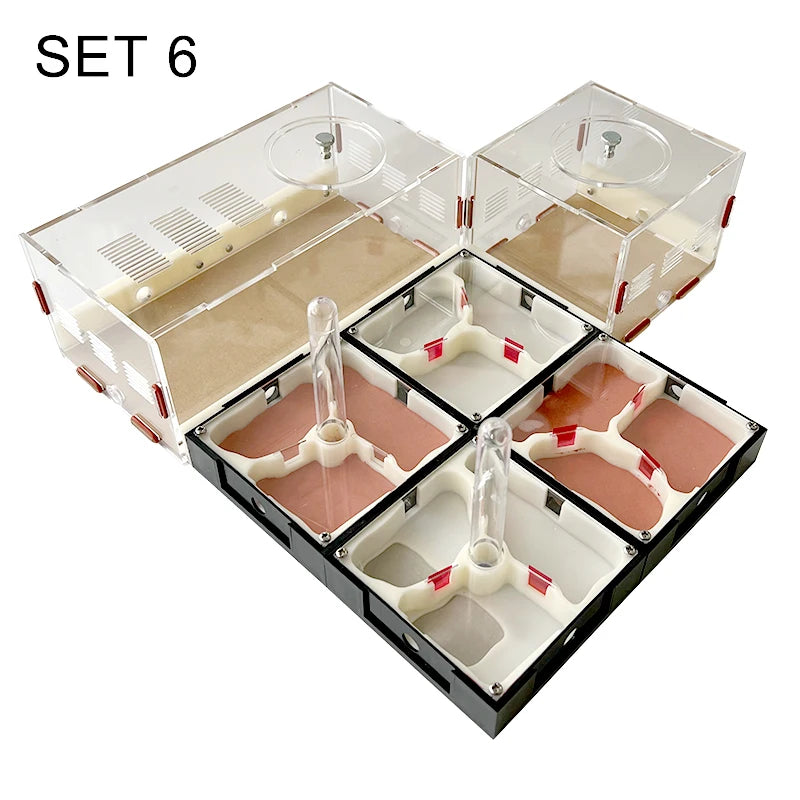Acrylic Ant Farm Unlimited Expansion.