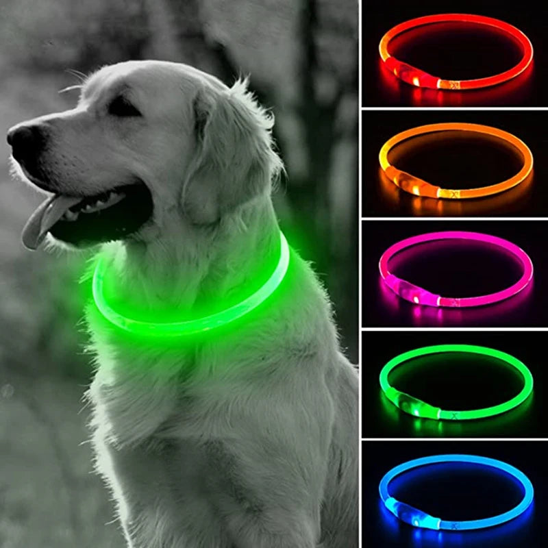 Led Usb Dog Collar