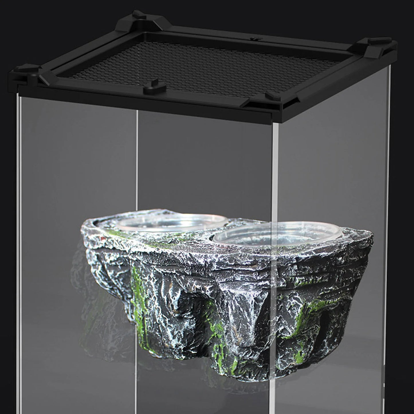 Resin Reptile Feeding Dish, Dual Bowl for Food & Water, Detachable, Easy Clean, Suction Cups, Habitat Decor for Bearded Dragons,