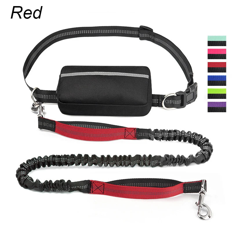 Multifunctional Sports Waist Bag Extended Hand Free Leash Adjustable for dog walking and leash pet running leash with waist bag