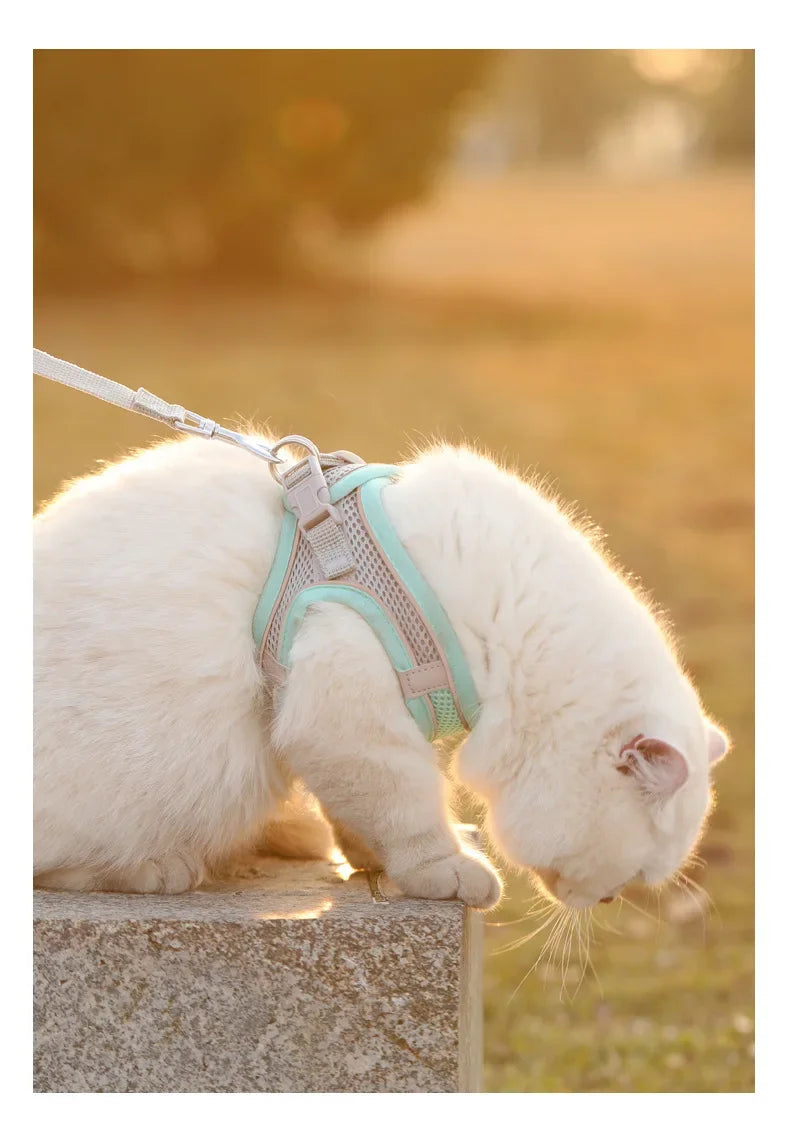 Small Dog/Cat Harness
