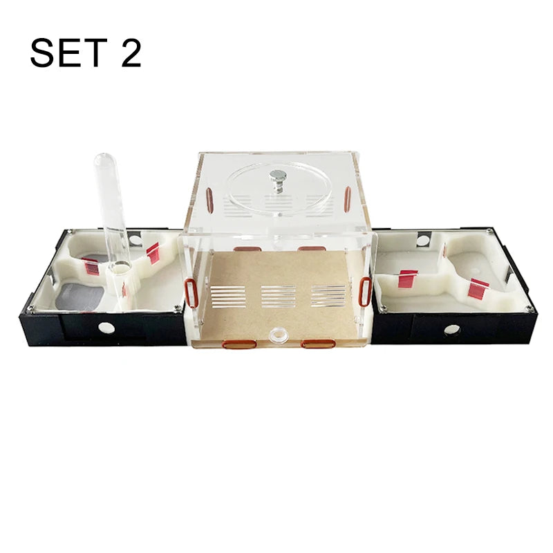 Acrylic Ant Farm Unlimited Expansion.