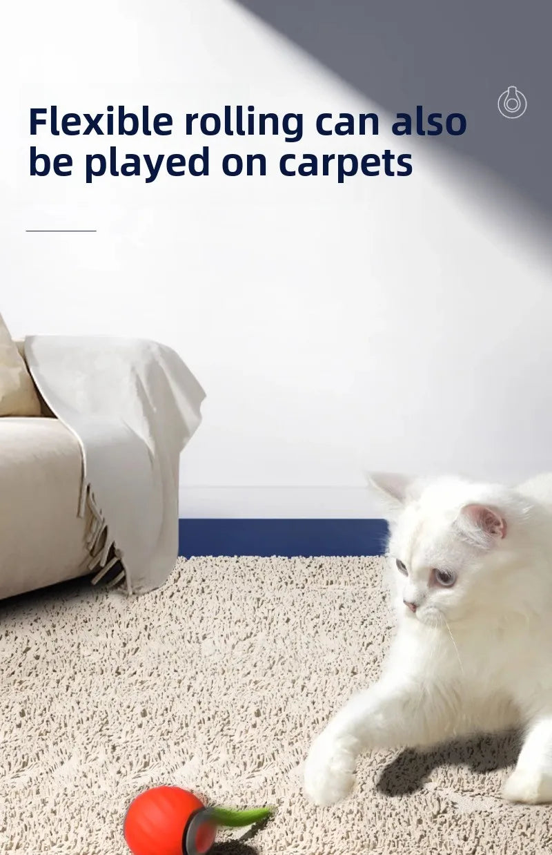 Cats Interactive Ball Toys