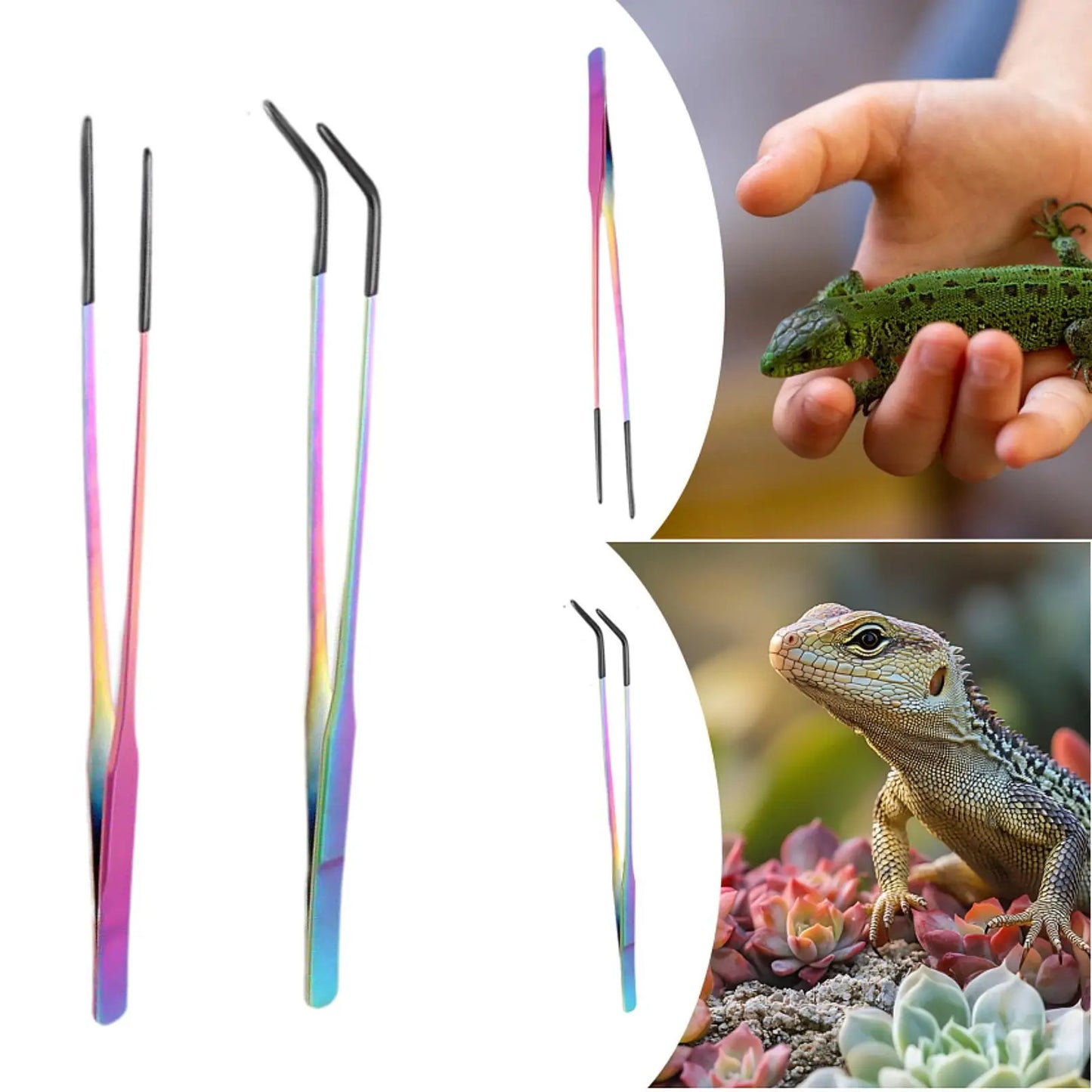 Reptile Feeding Tongs Long Aquarium Tweezers for Lizards Gecko Snakes Enclosure Accessories Water Grass Bearded Dragon Tank