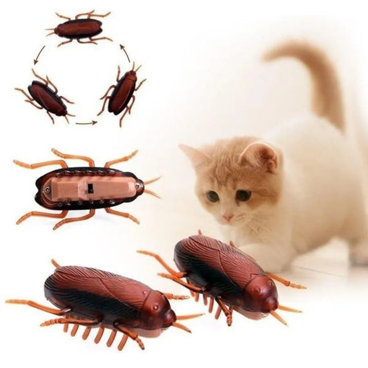 Realistic Cockroach Cat Toy