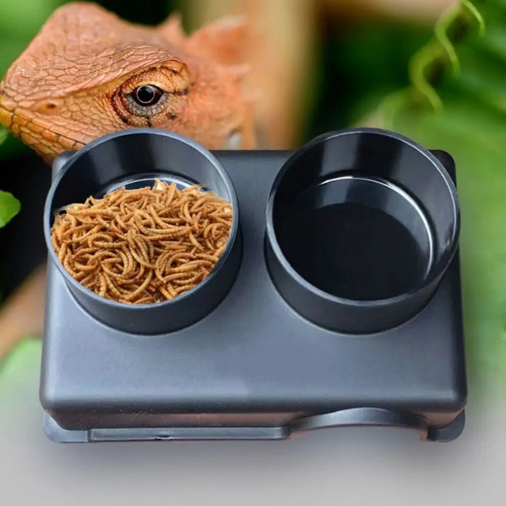Reptile Climbing Box Black Reptile Hide Box Plastic Rectangle Snake Shelter House S/M/L Reptile Caves Spiders
