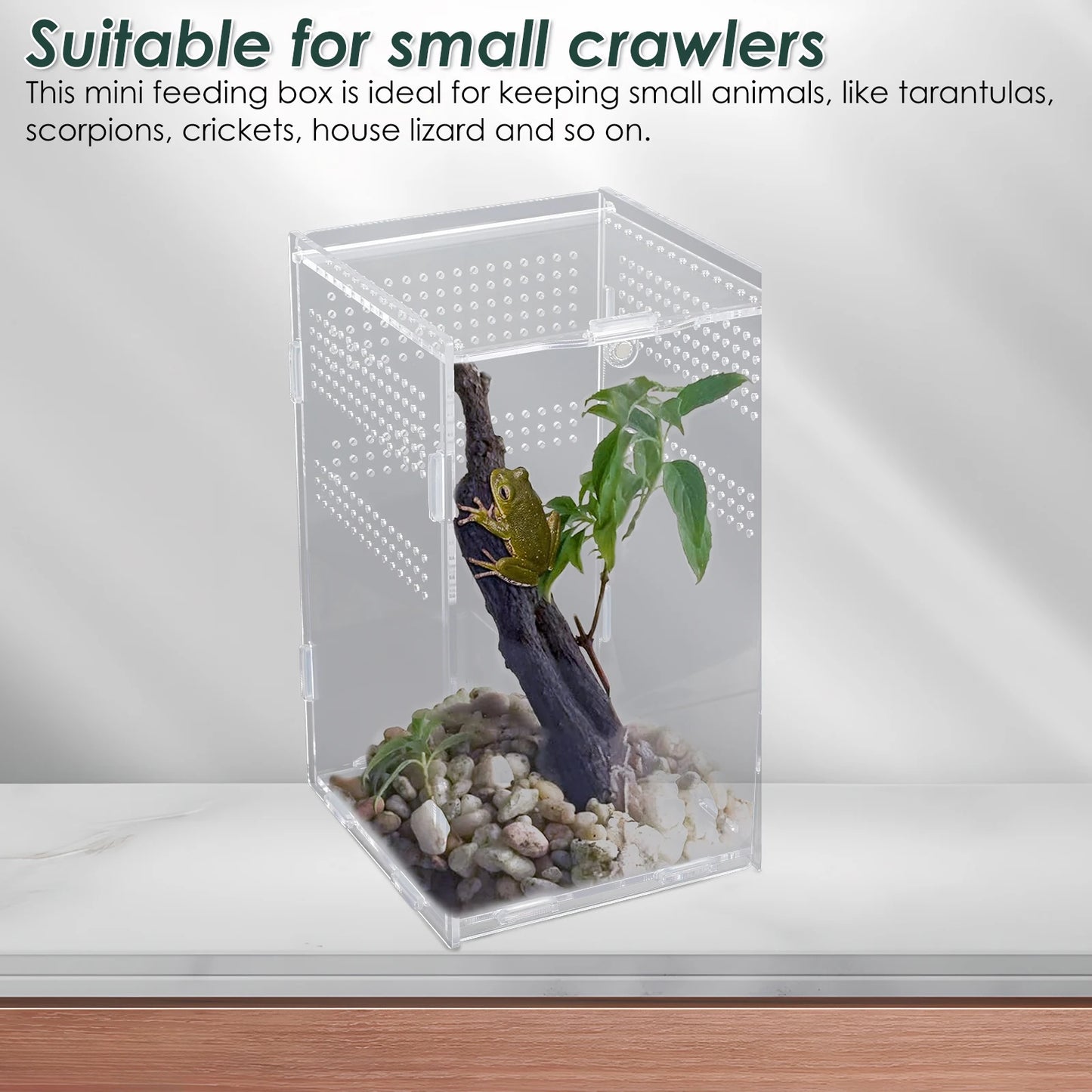 Reptile Feeding Box Acrylic Transparent Terrarium Habitat Insect Spider Lizard Scorpion Bearded Dragon Breeding Arboreal Cage