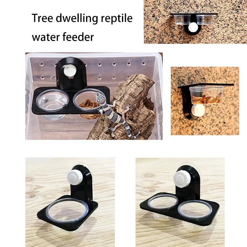 Reptile Feeding Bowl & Breeding Box