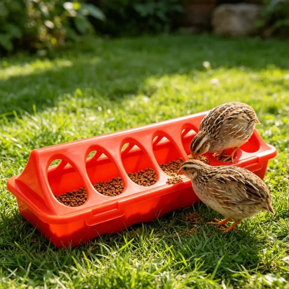 12-Hole Anti-Waste Poultry Feeder for Quail Chicks Pigeons – Durable Plastic Double-Sided Feeding Tray, Prevents Food Scattering