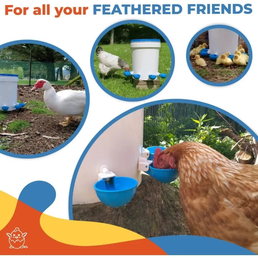 5PCS Poultry Kit Automatic Chicken Water Feeder Automatic Drinking Bowl Feeding Watering Supplie Chicken Waterer