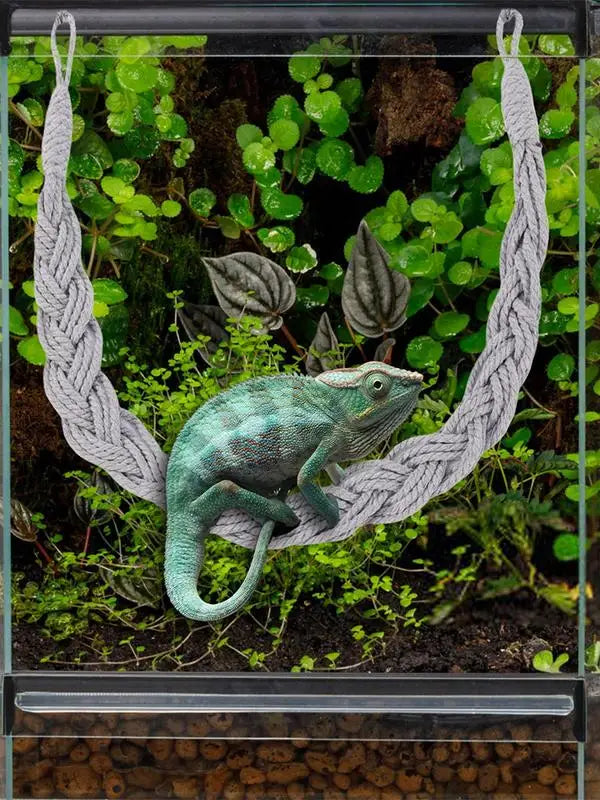 Hermit Crab Climbing Jute Rope Ladder Reptile Tank Terrarium Accessories Lizard Gecko Climbing Jute Rope Ladder Hermit Crab Toys