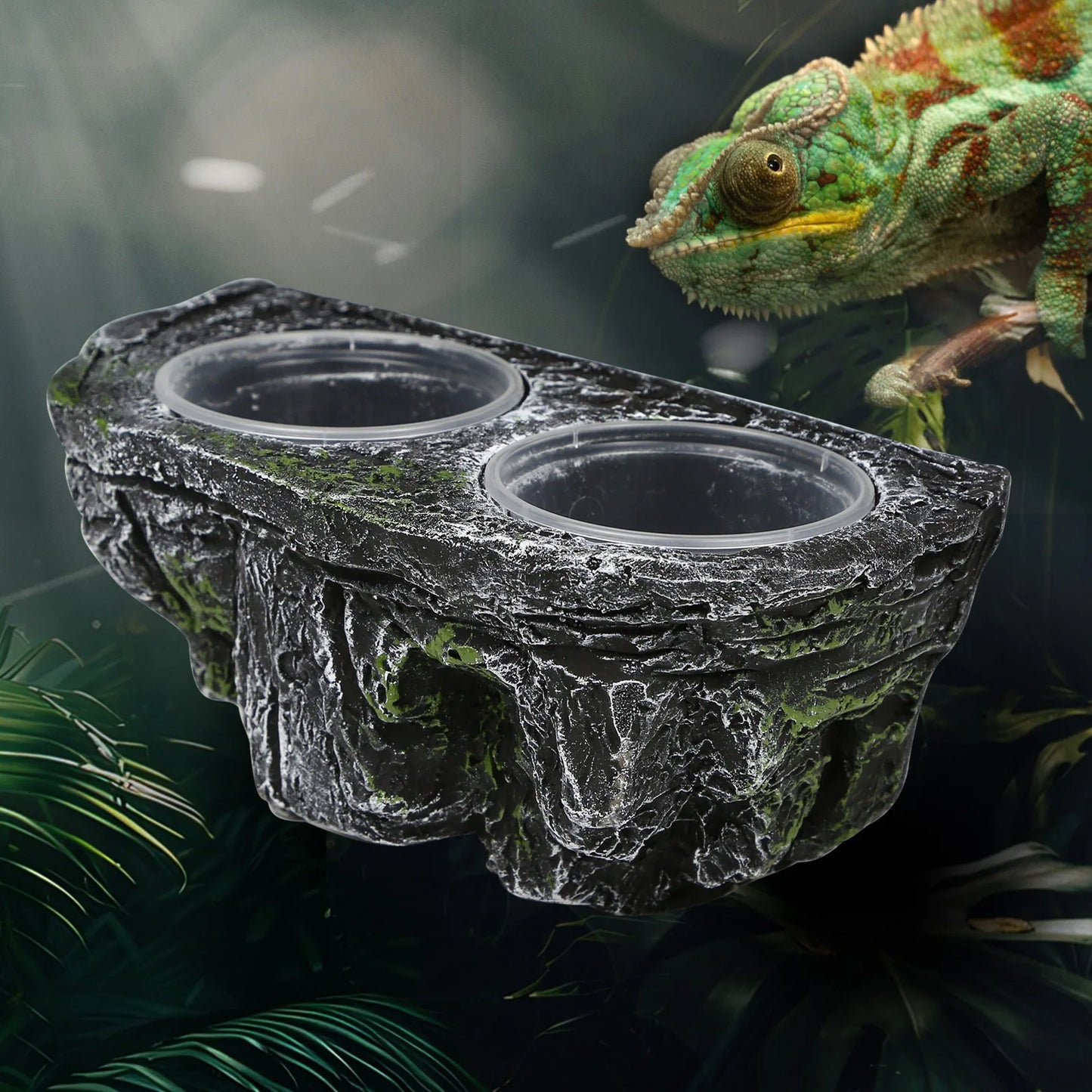 Resin Reptile Feeding Dish, Dual Bowl for Food & Water, Detachable, Easy Clean, Suction Cups, Habitat Decor for Bearded Dragons,